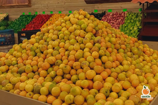 Pilha com várias laranjas da espécie bahia.