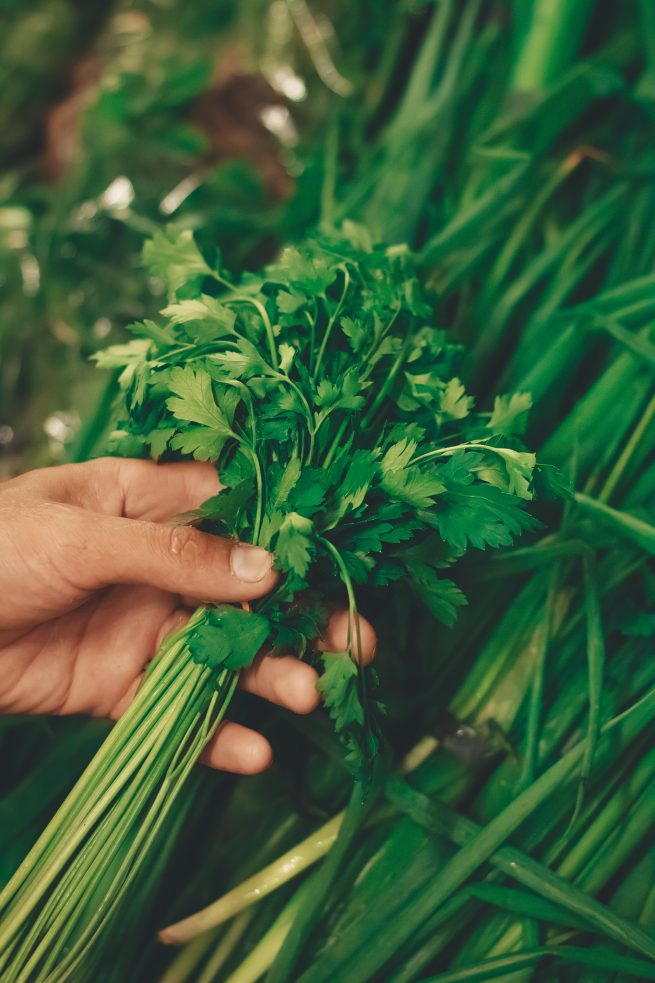 Usar cheiro verde no preparo das comidas, ajuda em uma boa nutrição
