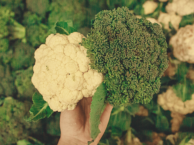 Verduras como couve-flor e brócolis são muito utilizados no inverno.