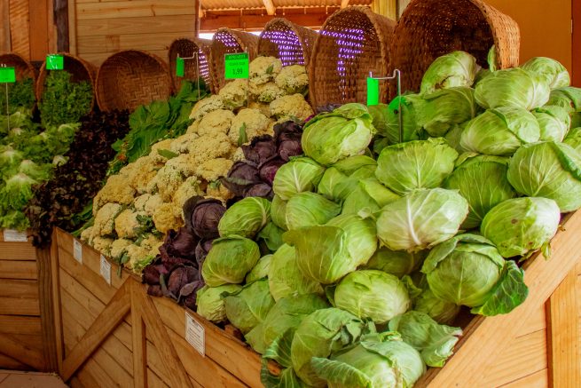 Pilha com variedade de vegetais, entre eles temos o repolho verde e roxo, e brócolis.