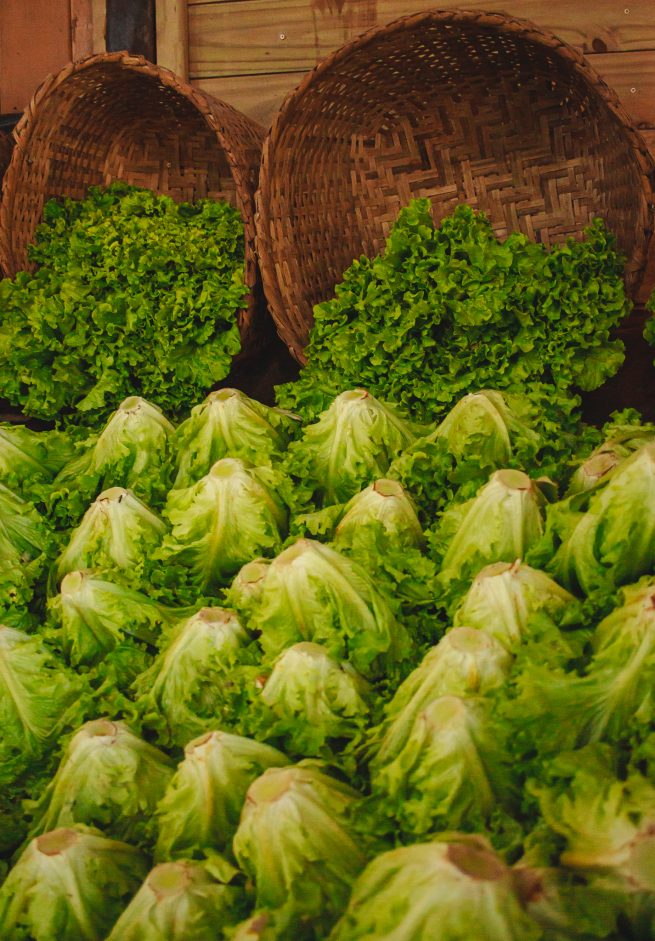 As verduras de folhas verdes, são ricas em vitaminas B2.