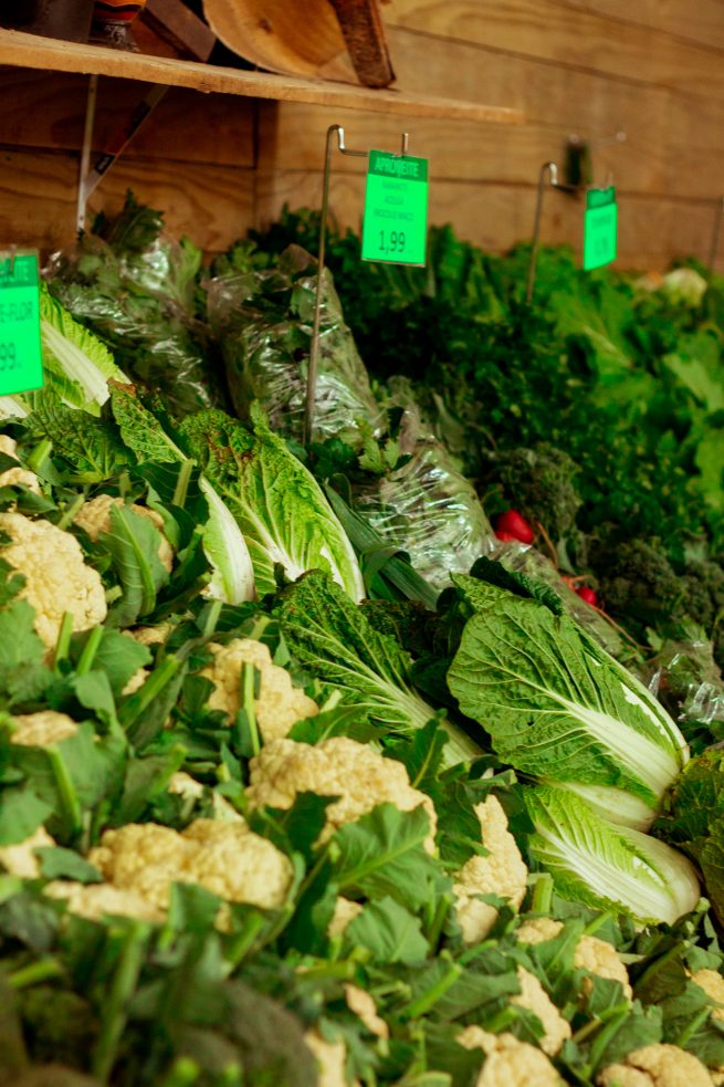 As verduras de folhas verdes, são ricas em vitamina E.
